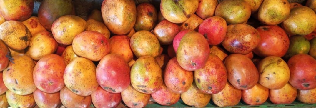 Apple Mango