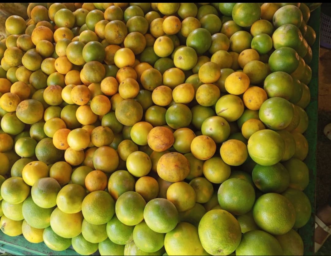 Oranges 